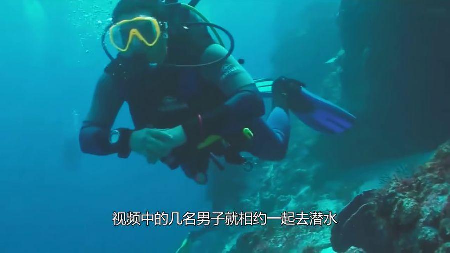 燃料电池电动汽车动力性国际标准发布